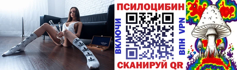 Купить закладки  Ртищево  Галлюциногенные грибы Psilocybe 